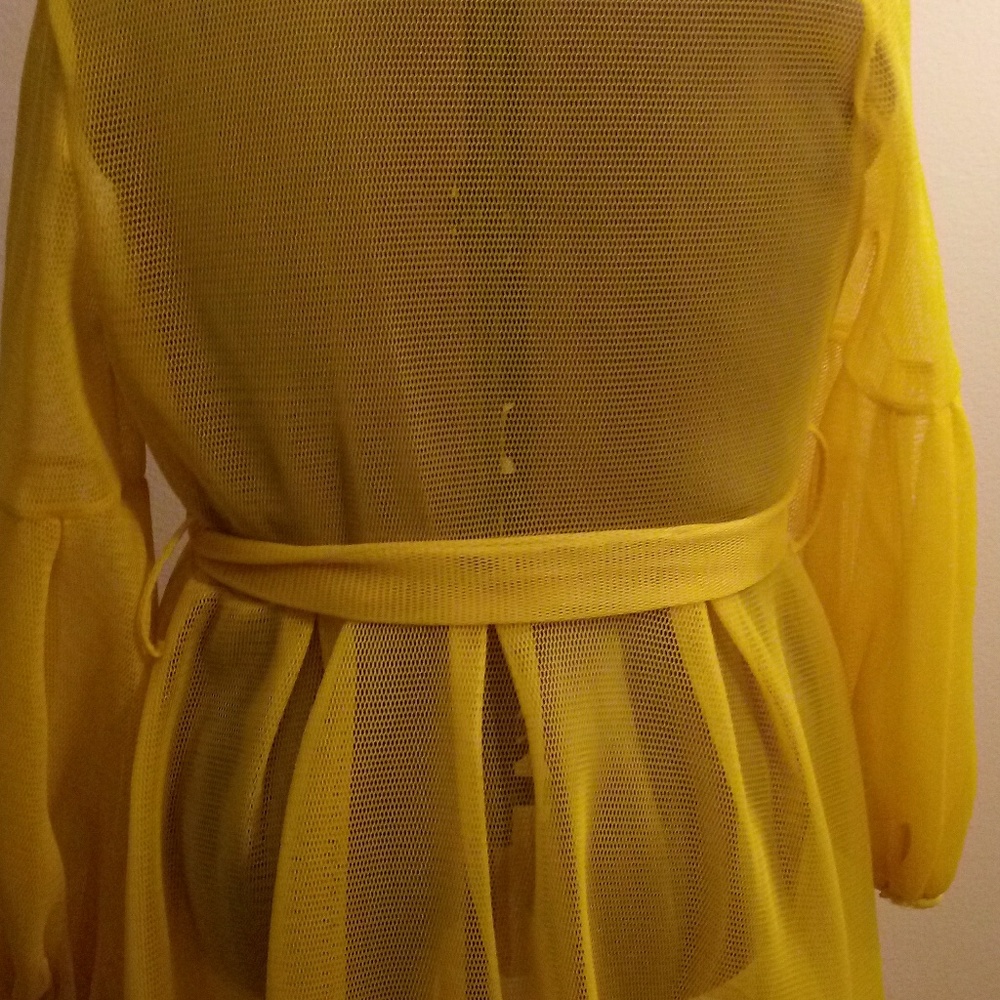 Sheer Dress